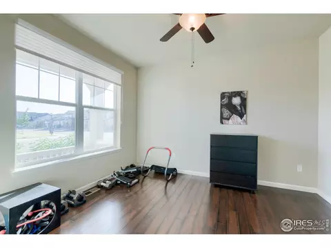155 Halibut Dr, Windsor, CO 80550 photo 16