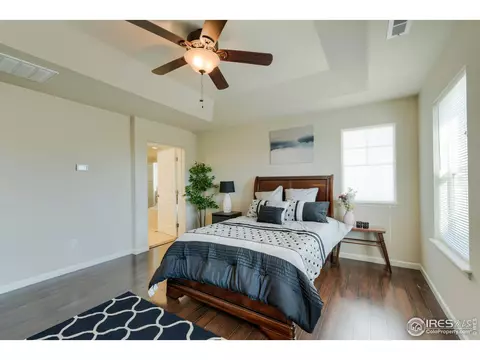 155 Halibut Dr, Windsor, CO 80550 photo 21