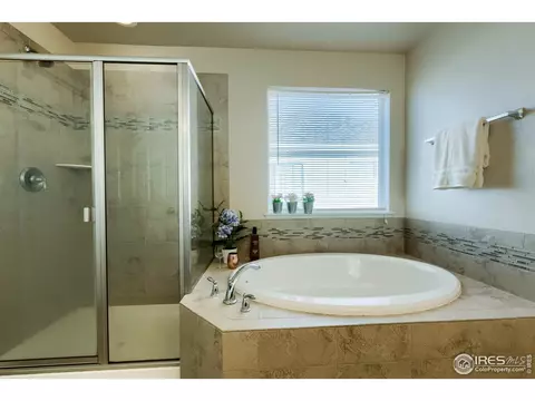 155 Halibut Dr, Windsor, CO 80550 photo 25