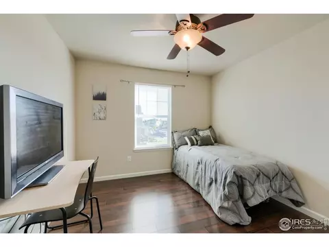 155 Halibut Dr, Windsor, CO 80550 photo 33