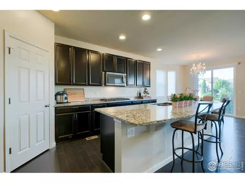 155 Halibut Dr, Windsor, CO 80550 photo 5