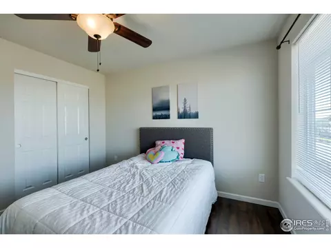 155 Halibut Dr, Windsor, CO 80550 photo 27