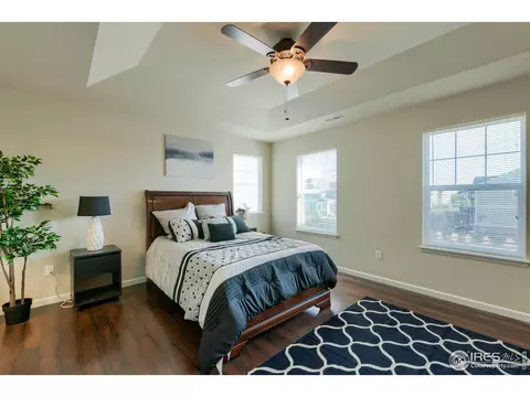 155 Halibut Dr, Windsor, CO 80550 photo 20