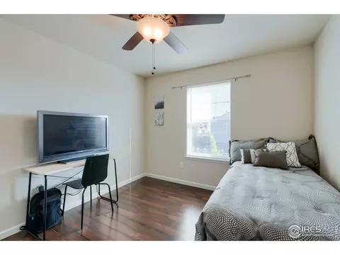 155 Halibut Dr, Windsor, CO 80550 photo 34