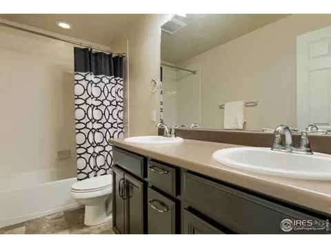 155 Halibut Dr, Windsor, CO 80550 photo 32