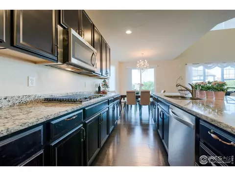 155 Halibut Dr, Windsor, CO 80550 photo 6