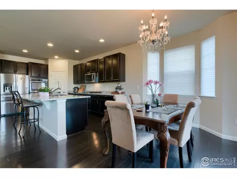 155 Halibut Dr, Windsor, CO 80550 photo 9