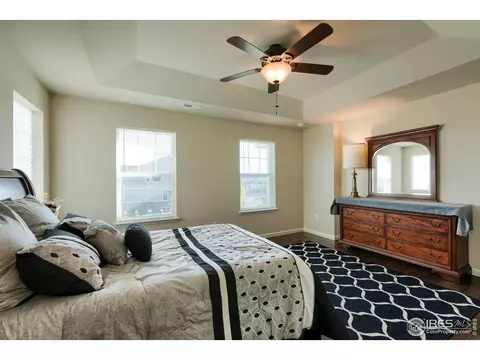 155 Halibut Dr, Windsor, CO 80550 photo 23