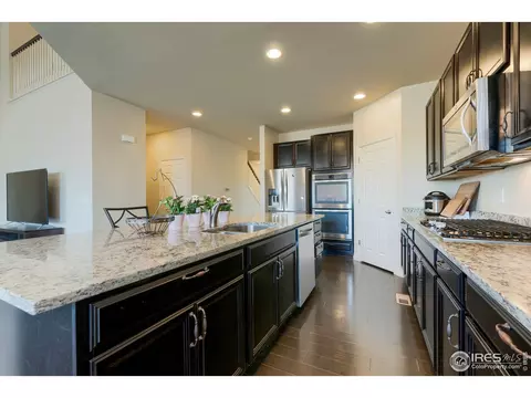 155 Halibut Dr, Windsor, CO 80550 photo 7