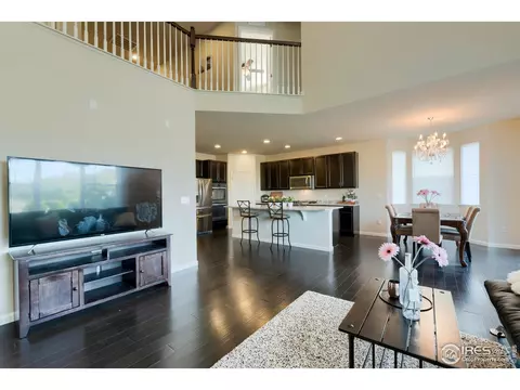 155 Halibut Dr, Windsor, CO 80550 photo 14