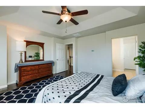 155 Halibut Dr, Windsor, CO 80550 photo 22