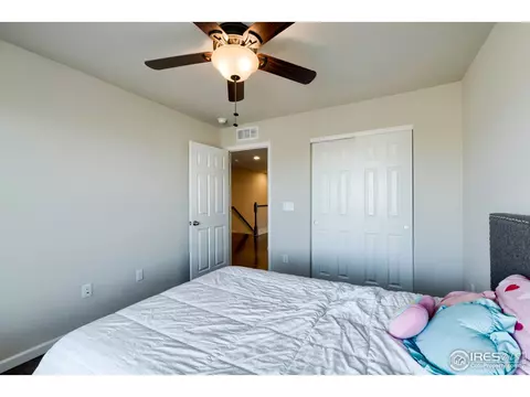 155 Halibut Dr, Windsor, CO 80550 photo 28