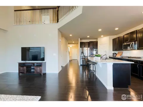 155 Halibut Dr, Windsor, CO 80550 photo 15