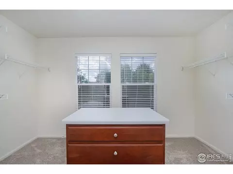 4524 Haystack Dr, Windsor, CO 80550 photo 24