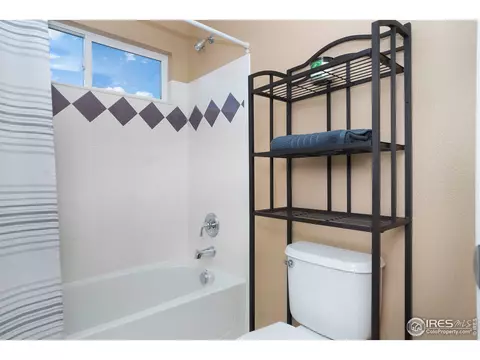 4524 Haystack Dr, Windsor, CO 80550 photo 29