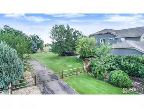 4524 Haystack Dr, Windsor, CO 80550 photo 4