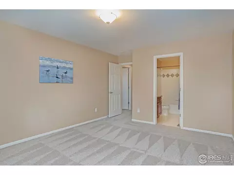 4524 Haystack Dr, Windsor, CO 80550 photo 28
