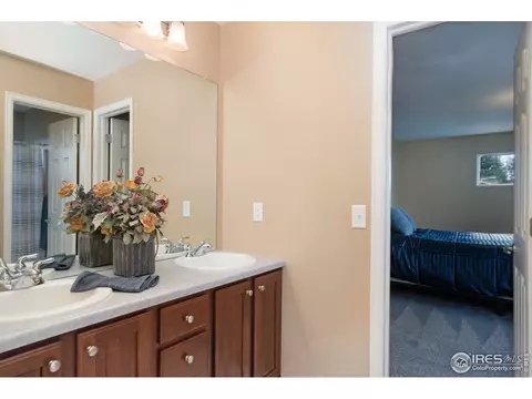 4524 Haystack Dr, Windsor, CO 80550 photo 30