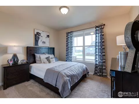 2174 Crop Row Dr, Windsor, CO 80550 photo 6