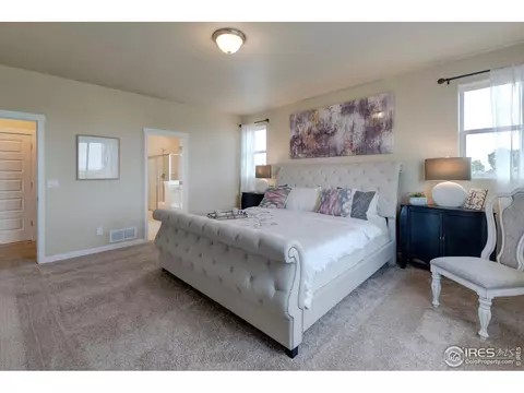 2174 Crop Row Dr, Windsor, CO 80550 photo 18