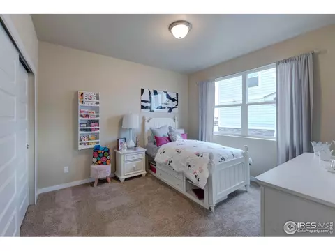 2174 Crop Row Dr, Windsor, CO 80550 photo 4