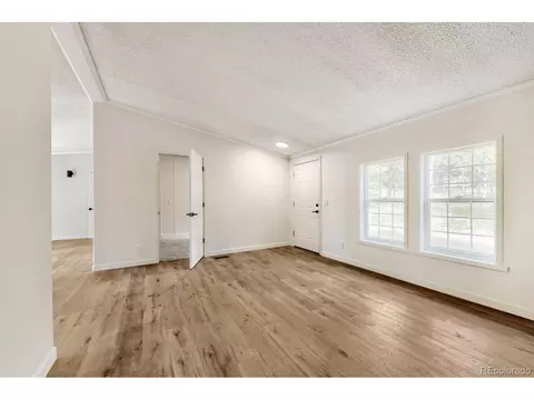 580 Forest Dr, Bailey, CO 80421 photo 4