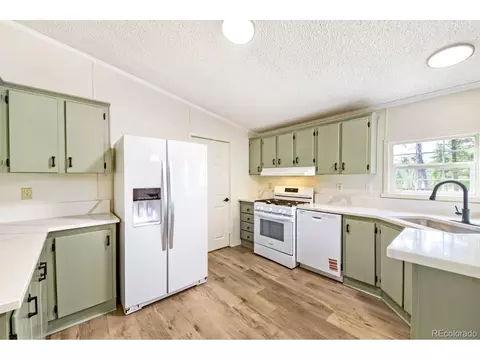 580 Forest Dr, Bailey, CO 80421 photo 3