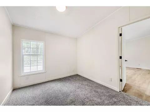 580 Forest Dr, Bailey, CO 80421 photo 11