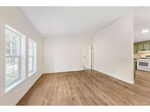 580 Forest Dr, Bailey, CO 80421 photo 5