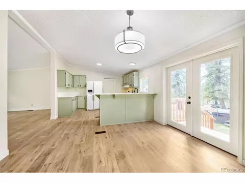 580 Forest Dr, Bailey, CO 80421 photo 2