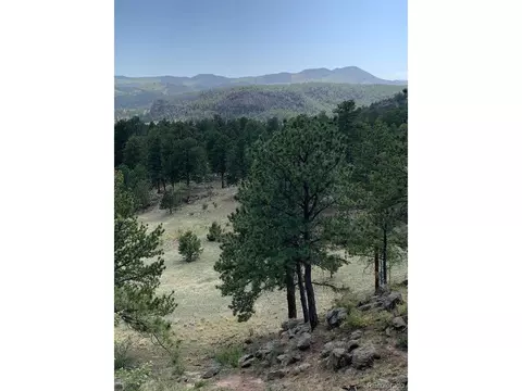 Undisclosed, Florissant, CO 80816