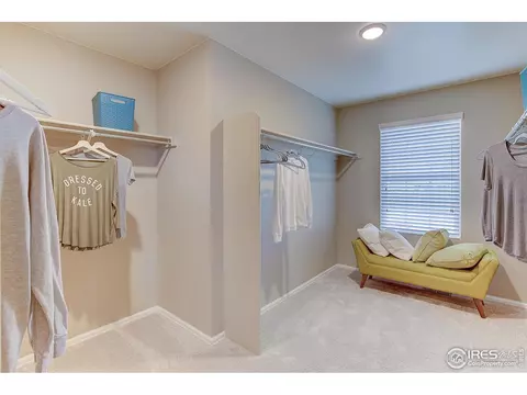 7105 Frying Pan Dr, Frederick, CO 80530 photo 32