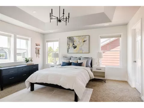 10069 E 28th Ave, Denver, CO 80238 photo 16