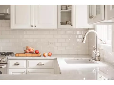 520 Eudora St, Denver, CO 80220 photo 11