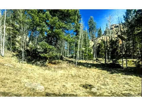 987 Eagle Rock Rd, Florissant, CO 80816