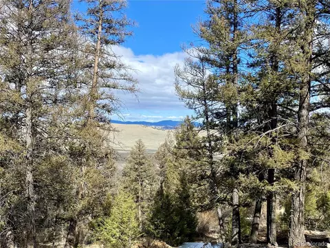 406 Middle Fork Vis, Fairplay, CO 80440
