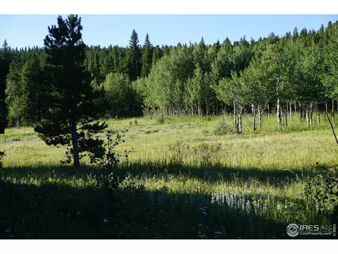 609 Pine Cone Cir, Ward, CO 80481 photo 17