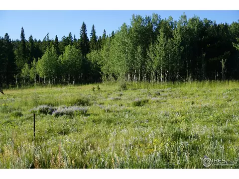 609 Pine Cone Cir, Ward, CO 80481 photo 10