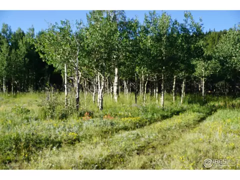 609 Pine Cone Cir, Ward, CO 80481 photo 9