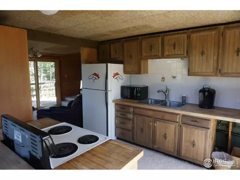 609 Pine Cone Cir, Ward, CO 80481 photo 5