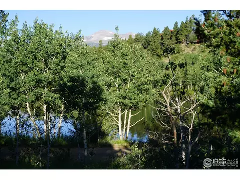 609 Pine Cone Cir, Ward, CO 80481 photo 19