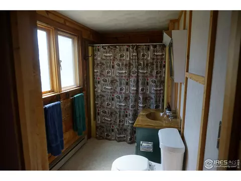 609 Pine Cone Cir, Ward, CO 80481 photo 7