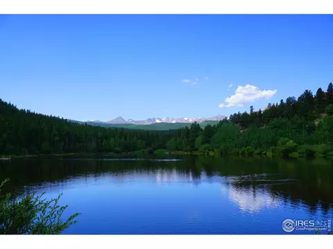609 Pine Cone Cir, Ward, CO 80481 photo 2