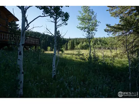609 Pine Cone Cir, Ward, CO 80481 photo 18