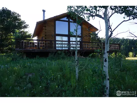 609 Pine Cone Cir, Ward, CO 80481 photo 11