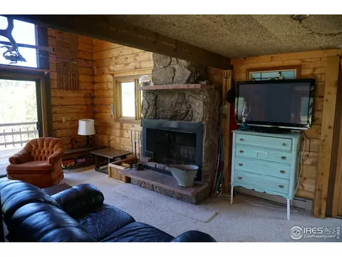 609 Pine Cone Cir, Ward, CO 80481 photo 20
