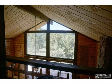 609 Pine Cone Cir, Ward, CO 80481 photo 23