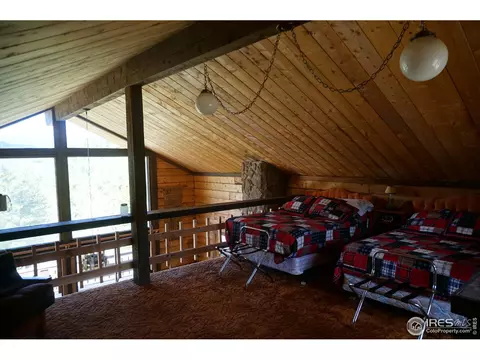 609 Pine Cone Cir, Ward, CO 80481 photo 14