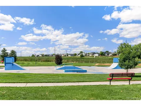 219 Haymaker Ln, Severance, CO 80550 photo 41