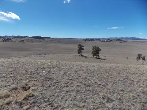5795 Guipago Trl, Hartsel, CO 80449